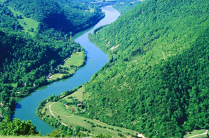 Ain